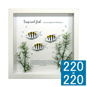 A[gt[ Aqua Frame Sergeant Major A[gt[ t[ Ǐ z Ǌ|CeA Ǌ|A[g t[A[g fBXvCt[ CeAt[    