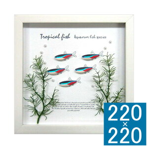 �A�[�g�t���[�� Aqua Frame Neon Tetra �A�[�g�t���[�� �t���[�� �Ǐ��� �z�� �Ǌ|���C���e���A �Ǌ|���A�[�g �t���[���A�[�g �f�B�X�v���C�t���[�� �C���e���A�t���[�� �� ������ ������� ��