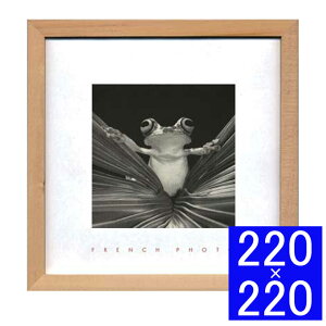 tHgA[gt[ French Photography Tree Frog Queen A[gt[ t[ Ǐ z Ǌ|CeA Ǌ|A[g t[A[g fBXvCt[ CeAt[ ʐ^ t