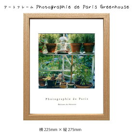 アートフレーム Photographie de Paris Greenhouse 壁掛け 絵画 横225mm×縦275mm 壁飾り 額縁 ポスター フレーム パネル おしゃれ 飾る 記念 ギフト かわいい 結婚式 プレゼント 新品 模様替え 出産祝い