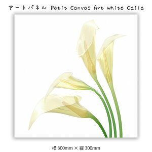�A�[�g�p�l�� Petit Canvas Art White Calla �L�����o�X�A�[�g �G �Ǌ|�� �Ǐ��� �A�[�g�|�X�^�[ �����g�Q�� �A�[�g �� �z���C�g �� 300×300mm �C���e���A ������� ���_�� �A�[�g �F�� �X�^�C���b�V�� 