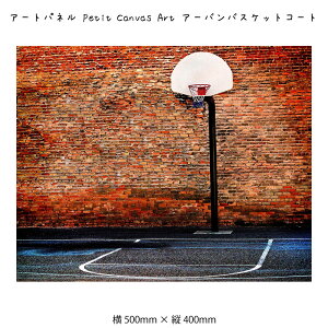 �A�[�g�p�l�� Petit Canvas Art �A�[�o���o�X�P�b�g�R�[�g �L�����o�X�A�[�g �G �Ǌ|�� �Ǐ��� �A�[�g�|�X�^�[ �ʐ^ �ʐ^ ���i ���F �I�����W 500×400mm �C���e���A ������� ���_�� �A�[�g �F�� �X
