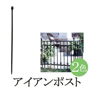 ACA|Xg ACAtFX K[ftFX  fUCtFX AtFX ACA|Xg |[ ACA ubN zCg   k AeB[N  Vv 