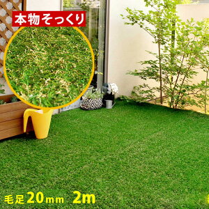 玄関 芝生 苗の人気商品 通販 価格比較 価格 Com 玄関 芝生 苗の人気商品 通販 価格比較 価格 Com