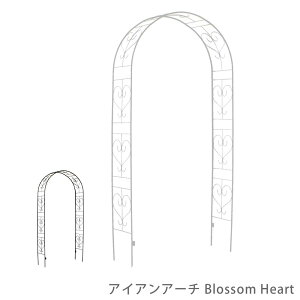 ACAA[` Blossom@Heart  K[f DIY A[` K[fA[` ACAA[` ACA p[S  tFX o KN |x x KNA[` oA[` 鐫A   c^ 