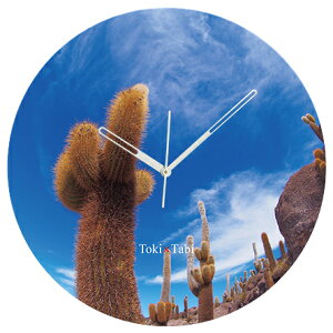 A+ (ANZgvX) Toki×Tabi Ej -T{e- 60cm ^v bj 傫 v Ǌ|v { i i ۂ Â   CJV  CO {rA R