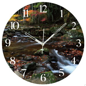 A+ (ANZgvX) Toki×Tabi Ԗڎl\ 60cm ^v bj 傫 v Ǌ|v { i i ۂ Â SI gt k H Od R  t s