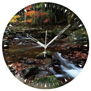 A+ (ANZgvX) Toki×Tabi Ԗڎl\ 60cm ^v bj 傫 v Ǌ|v { i i ۂ Â SI gt k H Od R  t s