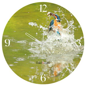 A+ (ANZgvX) Toki×Tabi Ő̕ߐH 60cm ^v bj 傫 v Ǌ|v { i i ۂ Â m mXь JZ~  r o[hEHb`O