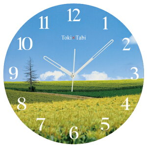 A+ (ANZgvX) Toki×Tabi l pb`[N̋u 60cm ^v bj 傫 v Ǌ|v { i i ۂ Â kC  R  s