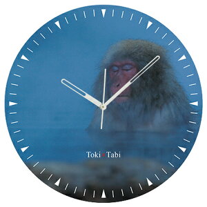 A+ (ANZgvX) Toki×Tabi ^|v 60cm Xm[L[ |v T  AT A \ ^v bj Ǌ|v  A[gpl 傫  CeA ʐ^ 