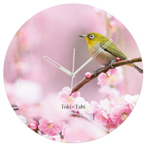 A+ (ANZgvX) Toki×Tabi ~̉ԂƃW -pink- 60cm ^v bj 傫 v Ǌ|v { i i ۂ Â m És o[hEHb`O  J