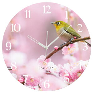 A+ (ANZgvX) Toki×Tabi ~̉ԂƃW -pink- 60cm ^v bj 傫 v Ǌ|v { i i ۂ Â m És o[hEHb`O  J