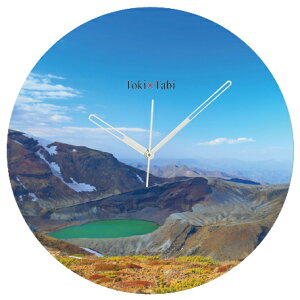 A+ (ANZgvX) Toki×Tabi Ř䊘 60cm ^v bj 傫 v Ǌ|v { i i ۂ Â {錧 ܐF  R s