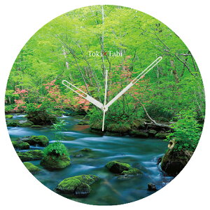 A+ (ANZgvX) Toki×Tabi V΂̉k 60cm ^v bj 傫 v Ǌ|v { i i ۂ Â X R  ccW \ac s