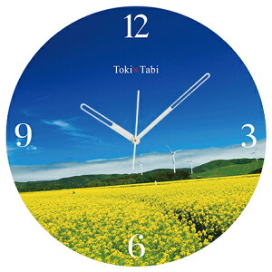 A+ (ANZgvX) Toki×Tabi l̍؂̉Ԕ 60cm ^v bj 傫 v Ǌ|v { i i ۂ Â X F  V R s 