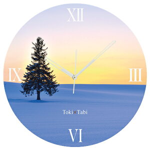 A+ (ANZgvX) Toki×Tabi NX}Xc[̖ 60cm ^v bj 傫 v Ǌ|v { i i ۂ Â kC l iF ~ R s [ [