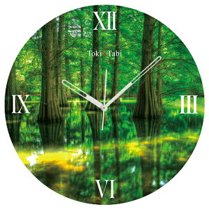 A+ (ANZgvX) Toki×Tabi I̐X 60cm ^v bj 傫 v Ǌ|v { i i ۂ Â  H k}XM r R _I zI s