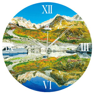 A+ (ANZgvX) Toki×Tabi gt̟J[ -- 60cm ^v bj 傫 v Ǌ|v { i i ۂ Â 쌧 H R oR Lv s  r