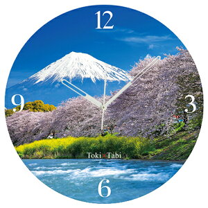 A+ (ANZgvX) Toki×Tabi ޕ̍ 60cm ^v bj 傫 v Ǌ|v { i i ۂ Â É xms R  s  xmR