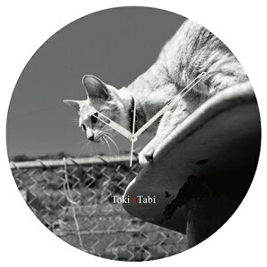 A+ (ANZgvX) Toki×Tabi ^|v 60cm L̓ |v lR L ˂ mN  ^v bj Ǌ|v  A[gpl 傫  CeA ʐ^ { r