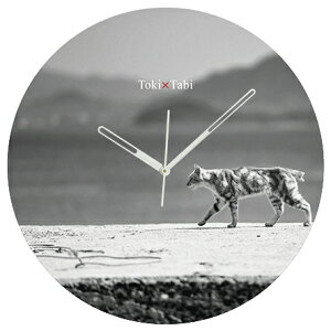 A+ (ANZgvX) Toki×Tabi ^|v 60cm L̓ |v lR L ˂ mN  ^v bj Ǌ|v  A[gpl 傫  CeA ʐ^ { r