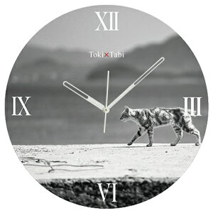 A+ (ANZgvX) Toki×Tabi ^|v 60cm L̓ |v lR L ˂ mN  ^v bj Ǌ|v  A[gpl 傫  CeA ʐ^ { r