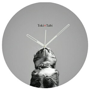 A+ (ANZgvX) Toki×Tabi ^|v 60cm L̓ |v lR L ˂ mN  ^v bj Ǌ|v  A[gpl 傫  CeA ʐ^ { r