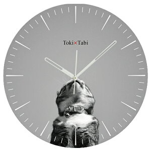 A+ (ANZgvX) Toki×Tabi ^|v 60cm L̓ |v lR L ˂ mN  ^v bj Ǌ|v  A[gpl 傫  CeA ʐ^ { r