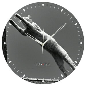 A+ (ANZgvX) Toki×Tabi ^|v 60cm L̓ |v lR L ˂ mN  ^v bj Ǌ|v  A[gpl 傫  CeA ʐ^ { r