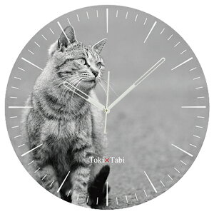 A+ (ANZgvX) Toki×Tabi ^|v 60cm L̓ |v lR L ˂ mN  ^v bj Ǌ|v  A[gpl 傫  CeA ʐ^ { r