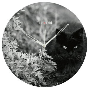 A+ (ANZgvX) Toki×Tabi ^|v 60cm L̓ |v lR L ˂ mN  NlR L ^v bj Ǌ|v  傫  CeA ʐ^ { 