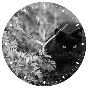 A+ (ANZgvX) Toki×Tabi ^|v 60cm L̓ |v lR L ˂ mN  NlR L ^v bj Ǌ|v  傫  CeA ʐ^ { 