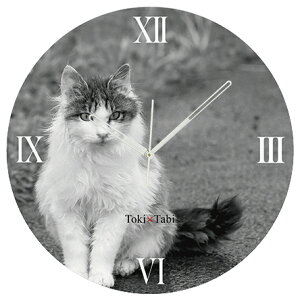 A+ (ANZgvX) Toki×Tabi ^|v 60cm L̓ |v lR L ˂ mN  ^v bj Ǌ|v  A[gpl 傫  CeA ʐ^ { r