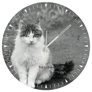 A+ (ANZgvX) Toki×Tabi ^|v 60cm L̓ |v lR L ˂ mN  ^v bj Ǌ|v  A[gpl 傫  CeA ʐ^ { r