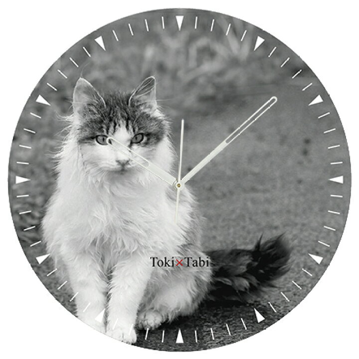 楽天市場】A+ (アクセントプラス) Toki×Tabi 大型掛け時計 60cm 猫の島 