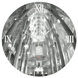 A+ (ANZgvX) Toki×Tabi ^|v 60cm TO_t@~A |v z  ^v bj Ǌ|v  A[gpl 傫  CeA ʐ^ { rO