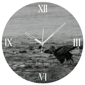 A+ (ANZgvX) Toki×Tabi ^|v 60cm m̃IIV |v  mN  ^v bj Ǌ|v  A[gpl 傫  CeA ʐ^ { 