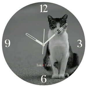 A+ (ANZgvX) Toki×Tabi ^|v 60cm L̓ |v lR L ˂ mN  ^v bj Ǌ|v  A[gpl 傫  CeA ʐ^ { r