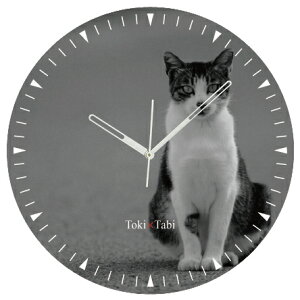 A+ (ANZgvX) Toki×Tabi ^|v 60cm L̓ |v lR L ˂ mN  ^v bj Ǌ|v  A[gpl 傫  CeA ʐ^ { r