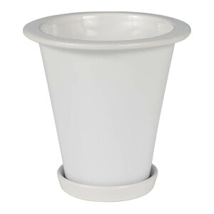 DULTON {^j[ O |bg LTCY  O|bg Aؔ t[|bg   킢 CeAG Mtg v[gJtF Xg Vbv X X fBXv