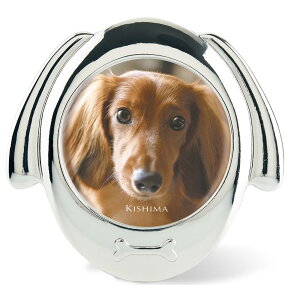 RR DOGtHgt[ ʐ^ tHgt[ ^ Mtg Vzj j v[g IV  G ObY  Ck hbO S[h Vo[  ybgʐ^ 