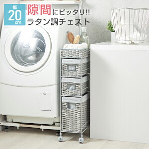 �����h���[�`�F�X�g 3�i �����h���[ ���[ �I ���S�� ��20 ���s35cm ����80 ���Ԏ��[ ������ �L�b�`�����S�� �����i ���b�N �L���X�^�[�t�� �o�X�P�b�g ������� �k�� ���^���� �J�S �����o�� �L