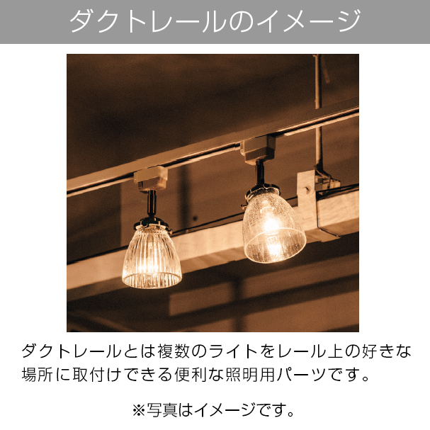 楽天市場】【LED電球付】 照明 ライト 電球 おしゃれ LED ダクトレール