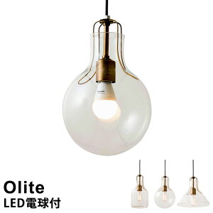 yLEDdtz LEDΉ y_gCg 1 Olite [Ie] LT-1609 C^[tH  Ɩ y_gƖ k g AeB[N