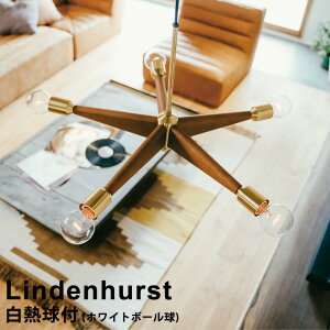 yzCg{[tz y_gCg 5 Lindenhurst mfn[Xgn LT-3408 C^[tH VƖ  Ɩ rO Cg _CjOCg k AeB[N ~