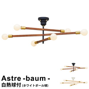 yzCg{[tz Ɩ Cg d  LEDΉ V[OCg 6 Astre - baum mAXg oE -n LT-3527 C^[tH VƖ  Ɩ Cg _CjOC