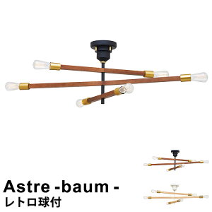 ygtz Ɩ Cg d  LEDΉ V[OCg 6 Astre - baum mAXg oE -n LT-3528 C^[tH VƖ  Ɩ Cg _CjOCg k 