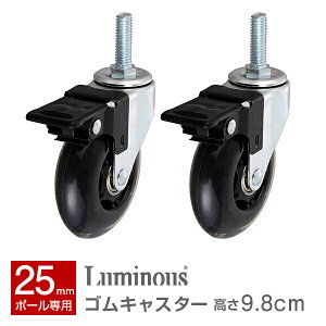 bN X`[bN p[c |[a25mm Ɩp p[c F9.8cm Xgbp[t 炩ɓ bN LX^[ ԗ X`[ ^ bN luminous ~iX i NALX^