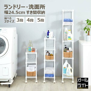yIׂzԎ[ 25cm 3i 4i 5i bN X @ ʏ X`[bN bN Ԏ[  LX^[t   zCg 25 45cm RpNg [ I h